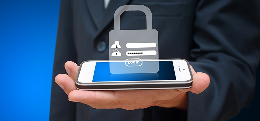 Importance of Website and Web Application Security